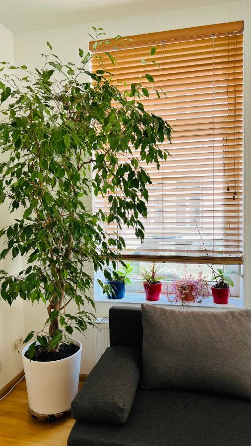 Grosses Und Helles Innenstadt Apartment - Ferienwohnung 巴特洪堡 外观 照片